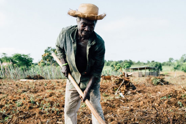 Consectetuer Adipiscing